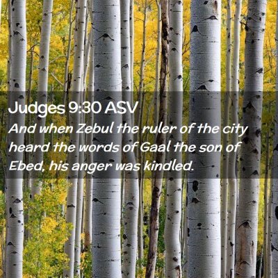 Picture 02 - Judges 9:30 ASV - And when Zebul the ruler of the city heard the - Bible Verse Picture