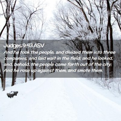 Picture 02 - Judges 9:43 ASV - And he took the people, and divided them into - Bible Verse Picture
