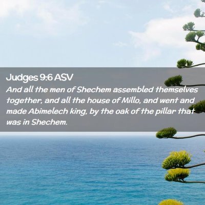 Picture 02 - Judges 9:6 ASV - And all the men of Shechem assembled themselves - Bible Verse Picture