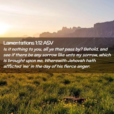 Picture 02 - Lamentations 1:12 ASV - Is it nothing to you, all ye that pass by? - Bible Verse Picture