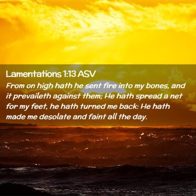 Picture 02 - Lamentations 1:13 ASV - From on high hath he sent fire into my bones, and - Bible Verse Picture