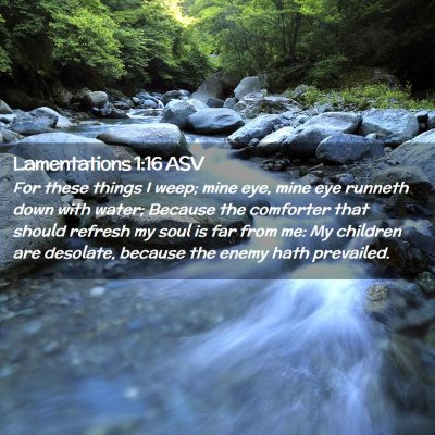 Picture 02 - Lamentations 1:16 ASV - For these things I weep; mine eye, mine eye - Bible Verse Picture