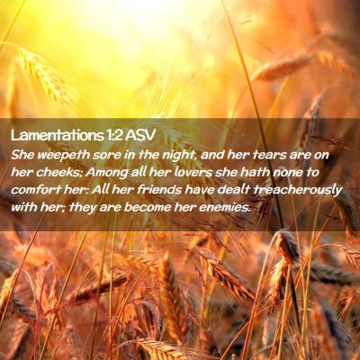 Picture 02 - Lamentations 1:2 ASV - She weepeth sore in the night, and her tears are - Bible Verse Picture