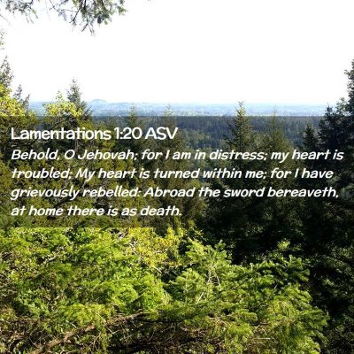 Picture 02 - Lamentations 1:20 ASV - Behold, O Jehovah; for I am in distress; my heart - Bible Verse Picture