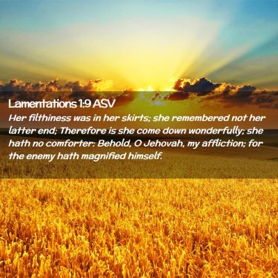 Picture 02 - Lamentations 1:9 ASV - Her filthiness was in her skirts; she remembered - Bible Verse Picture