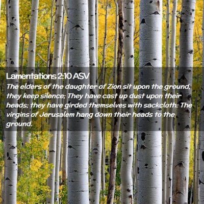 Picture 02 - Lamentations 2:10 ASV - The elders of the daughter of Zion sit upon the - Bible Verse Picture