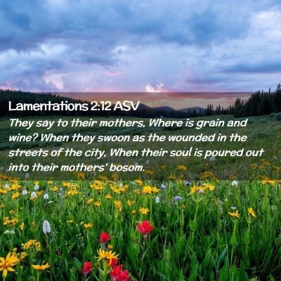 Picture 02 - Lamentations 2:12 ASV - They say to their mothers, Where is grain and - Bible Verse Picture
