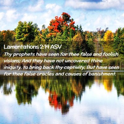 Picture 02 - Lamentations 2:14 ASV - Thy prophets have seen for thee false and foolish - Bible Verse Picture