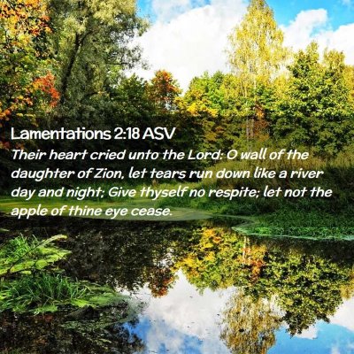 Picture 02 - Lamentations 2:18 ASV - Their heart cried unto the Lord: O wall of the - Bible Verse Picture
