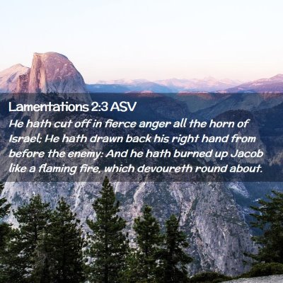 Picture 02 - Lamentations 2:3 ASV - He hath cut off in fierce anger all the horn of - Bible Verse Picture