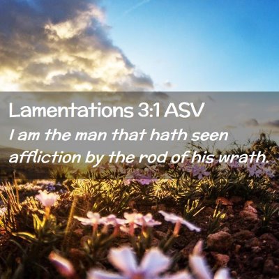 Picture 02 - Lamentations 3:1 ASV - I am the man that hath seen affliction by the rod - Bible Verse Picture