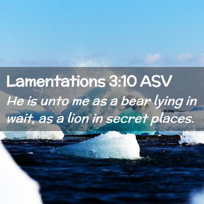 Picture 02 - Lamentations 3:10 ASV - He is unto me as a bear lying in wait, as a lion - Bible Verse Picture