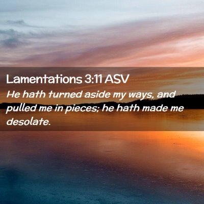 Picture 02 - Lamentations 3:11 ASV - He hath turned aside my ways, and pulled me in - Bible Verse Picture