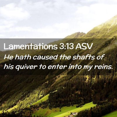 Picture 02 - Lamentations 3:13 ASV - He hath caused the shafts of his quiver to enter - Bible Verse Picture