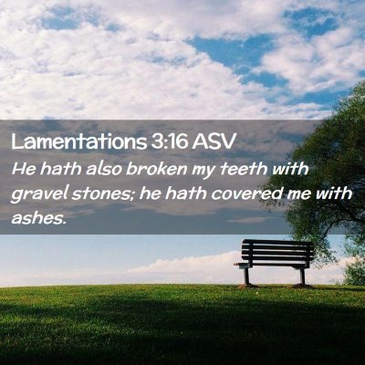 Picture 02 - Lamentations 3:16 ASV - He hath also broken my teeth with gravel stones; - Bible Verse Picture