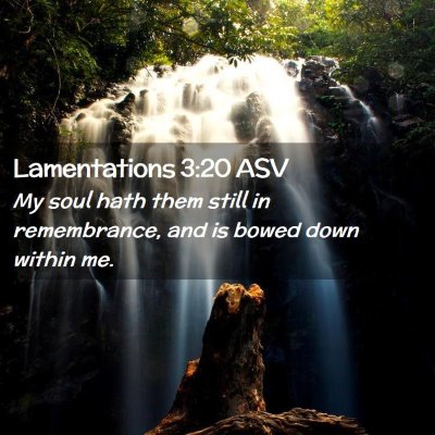 Picture 02 - Lamentations 3:20 ASV - My soul hath them still in remembrance, and is - Bible Verse Picture
