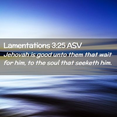 Picture 02 - Lamentations 3:25 ASV - Jehovah is good unto them that wait for him, to - Bible Verse Picture
