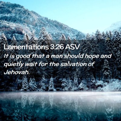 Picture 02 - Lamentations 3:26 ASV - It is good that a man should hope and quietly - Bible Verse Picture