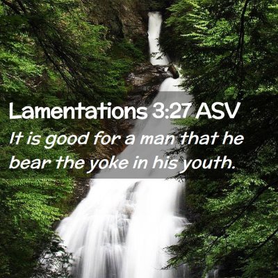 Picture 02 - Lamentations 3:27 ASV - It is good for a man that he bear the yoke in his - Bible Verse Picture
