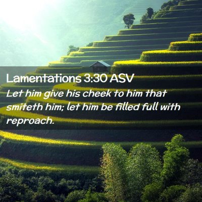 Picture 02 - Lamentations 3:30 ASV - Let him give his cheek to him that smiteth him; - Bible Verse Picture