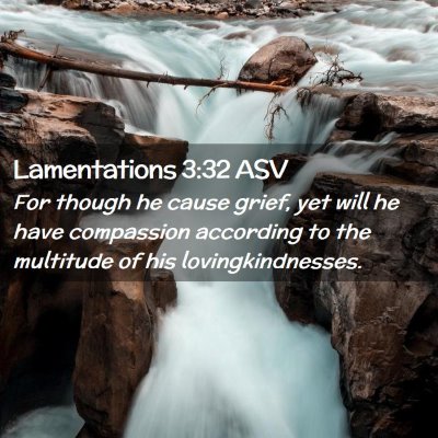 Picture 02 - Lamentations 3:32 ASV - For though he cause grief, yet will he have - Bible Verse Picture