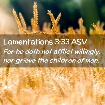 Picture 02 - Lamentations 3:33 ASV - For he doth not afflict willingly, nor grieve the - Bible Verse Picture