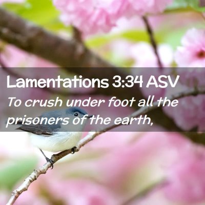 Picture 02 - Lamentations 3:34 ASV - To crush under foot all the prisoners of the - Bible Verse Picture