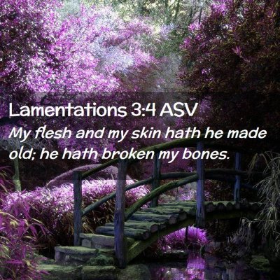 Picture 02 - Lamentations 3:4 ASV - My flesh and my skin hath he made old; he hath - Bible Verse Picture
