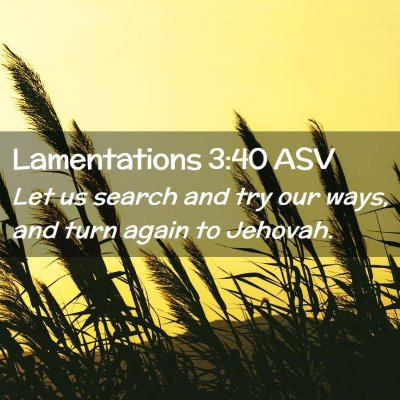 Picture 02 - Lamentations 3:40 ASV - Let us search and try our ways, and turn again to - Bible Verse Picture