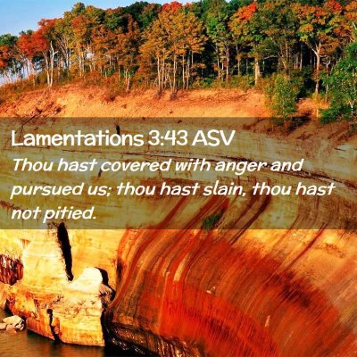 Picture 02 - Lamentations 3:43 ASV - Thou hast covered with anger and pursued us; thou - Bible Verse Picture