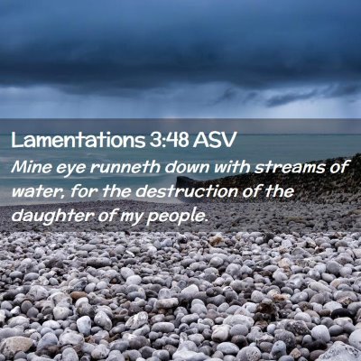Picture 02 - Lamentations 3:48 ASV - Mine eye runneth down with streams of water, for - Bible Verse Picture
