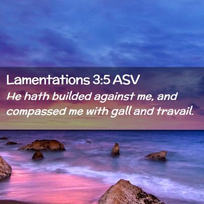 Picture 02 - Lamentations 3:5 ASV - He hath builded against me, and compassed me with - Bible Verse Picture