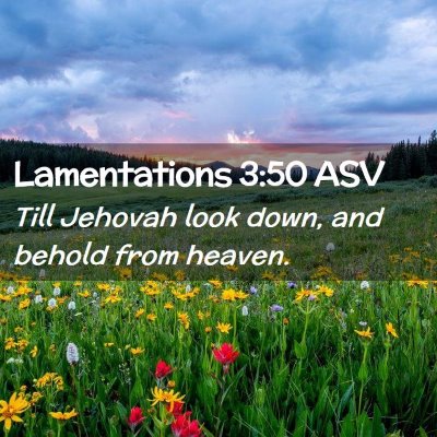 Picture 02 - Lamentations 3:50 ASV - Till Jehovah look down, and behold from - Bible Verse Picture