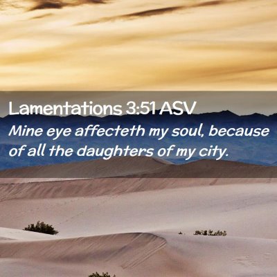 Picture 02 - Lamentations 3:51 ASV - Mine eye affecteth my soul, because of all the - Bible Verse Picture