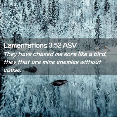 Picture 02 - Lamentations 3:52 ASV - They have chased me sore like a bird, they that - Bible Verse Picture