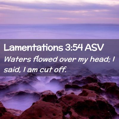 Picture 02 - Lamentations 3:54 ASV - Waters flowed over my head; I said, I am cut - Bible Verse Picture