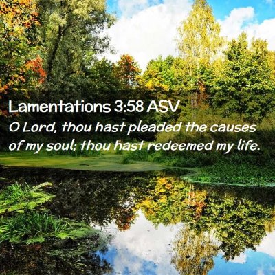 Picture 02 - Lamentations 3:58 ASV - O Lord, thou hast pleaded the causes of my soul; - Bible Verse Picture