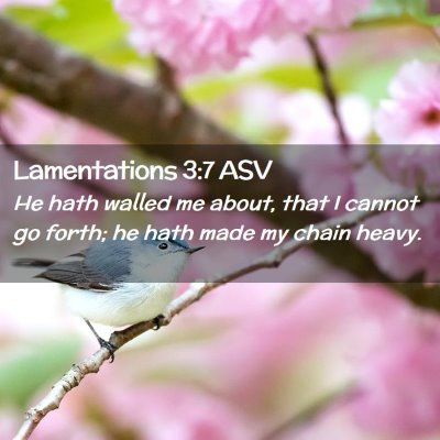 Picture 02 - Lamentations 3:7 ASV - He hath walled me about, that I cannot go forth; - Bible Verse Picture