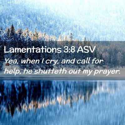 Picture 02 - Lamentations 3:8 ASV - Yea, when I cry, and call for help, he shutteth - Bible Verse Picture
