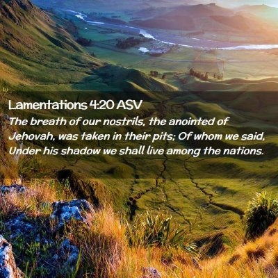 Picture 02 - Lamentations 4:20 ASV - The breath of our nostrils, the anointed of - Bible Verse Picture