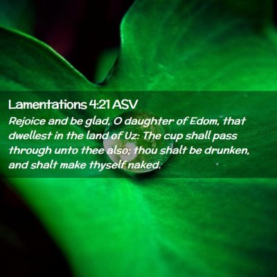Picture 02 - Lamentations 4:21 ASV - Rejoice and be glad, O daughter of Edom, that - Bible Verse Picture