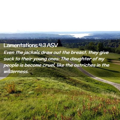 Picture 02 - Lamentations 4:3 ASV - Even the jackals draw out the breast, they give - Bible Verse Picture