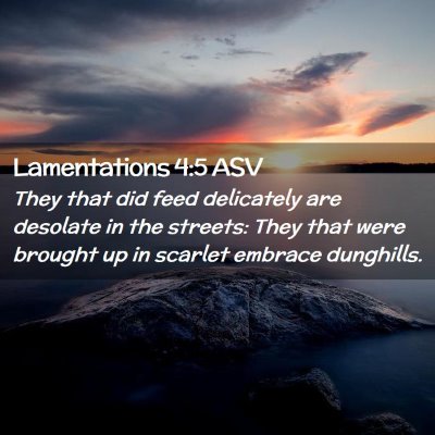 Picture 02 - Lamentations 4:5 ASV - They that did feed delicately are desolate in the - Bible Verse Picture