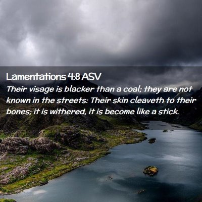 Picture 02 - Lamentations 4:8 ASV - Their visage is blacker than a coal; they are not - Bible Verse Picture