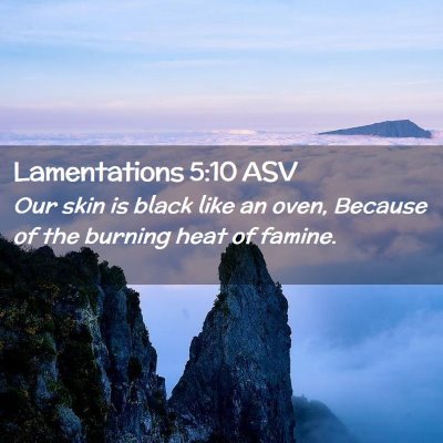 Picture 02 - Lamentations 5:10 ASV - Our skin is black like an oven, Because of the - Bible Verse Picture