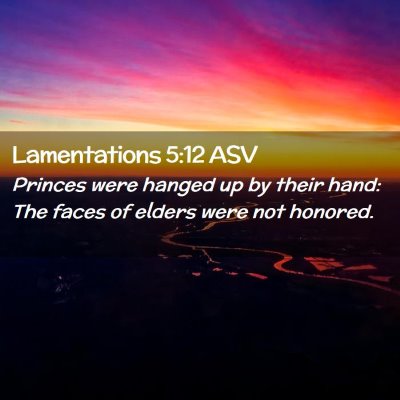 Picture 02 - Lamentations 5:12 ASV - Princes were hanged up by their hand: The faces - Bible Verse Picture