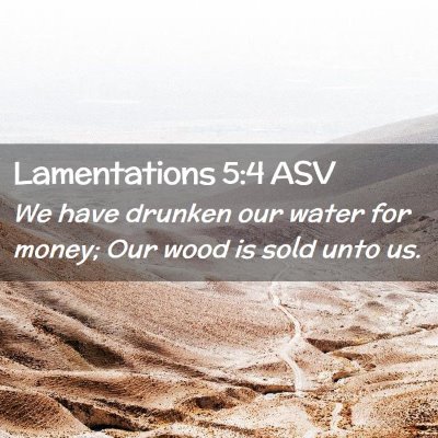 Picture 02 - Lamentations 5:4 ASV - We have drunken our water for money; Our wood is - Bible Verse Picture