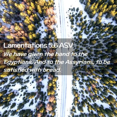 Picture 02 - Lamentations 5:6 ASV - We have given the hand to the Egyptians, And to - Bible Verse Picture