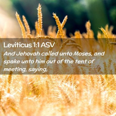 Picture 02 - Leviticus 1:1 ASV - And Jehovah called unto Moses, and spake unto him - Bible Verse Picture