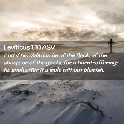 Picture 02 - Leviticus 1:10 ASV - And if his oblation be of the flock, of the - Bible Verse Picture